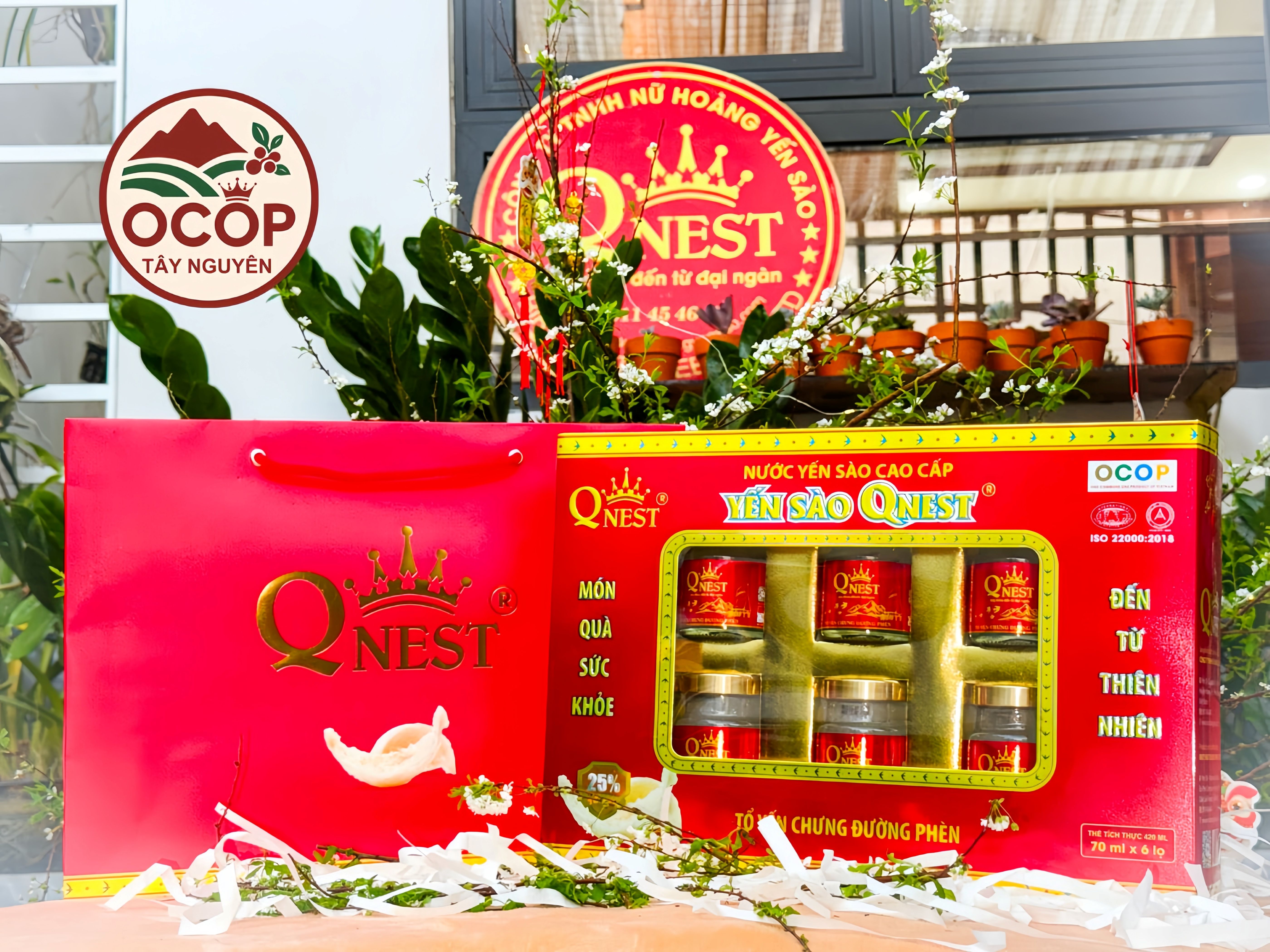 Yến Chưng Đường Phèn