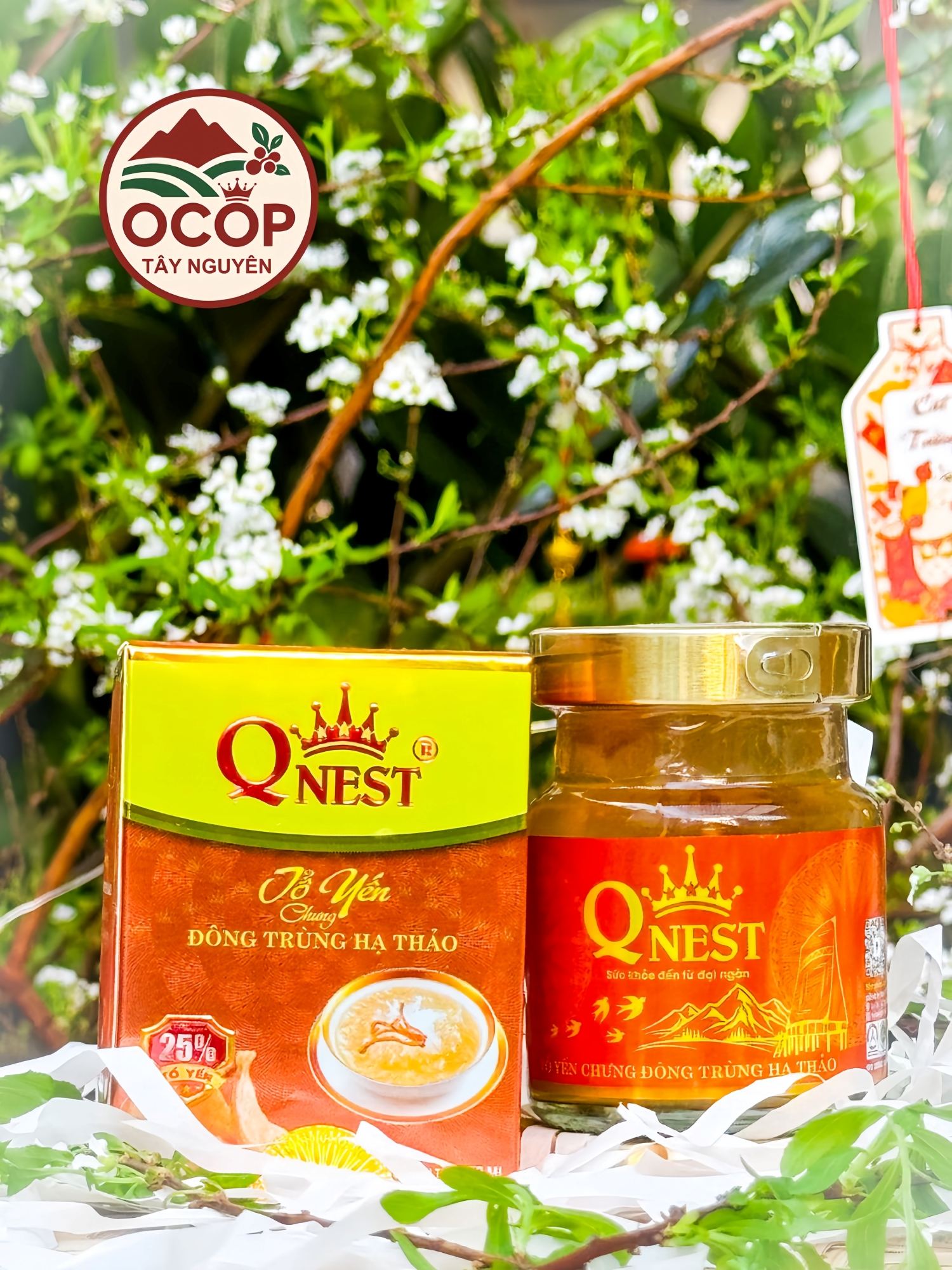 Tổ Yến Chưng Đông Trùng Hạ Thảo