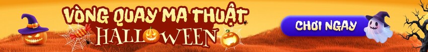 Banner đầu trang Ant Themes
