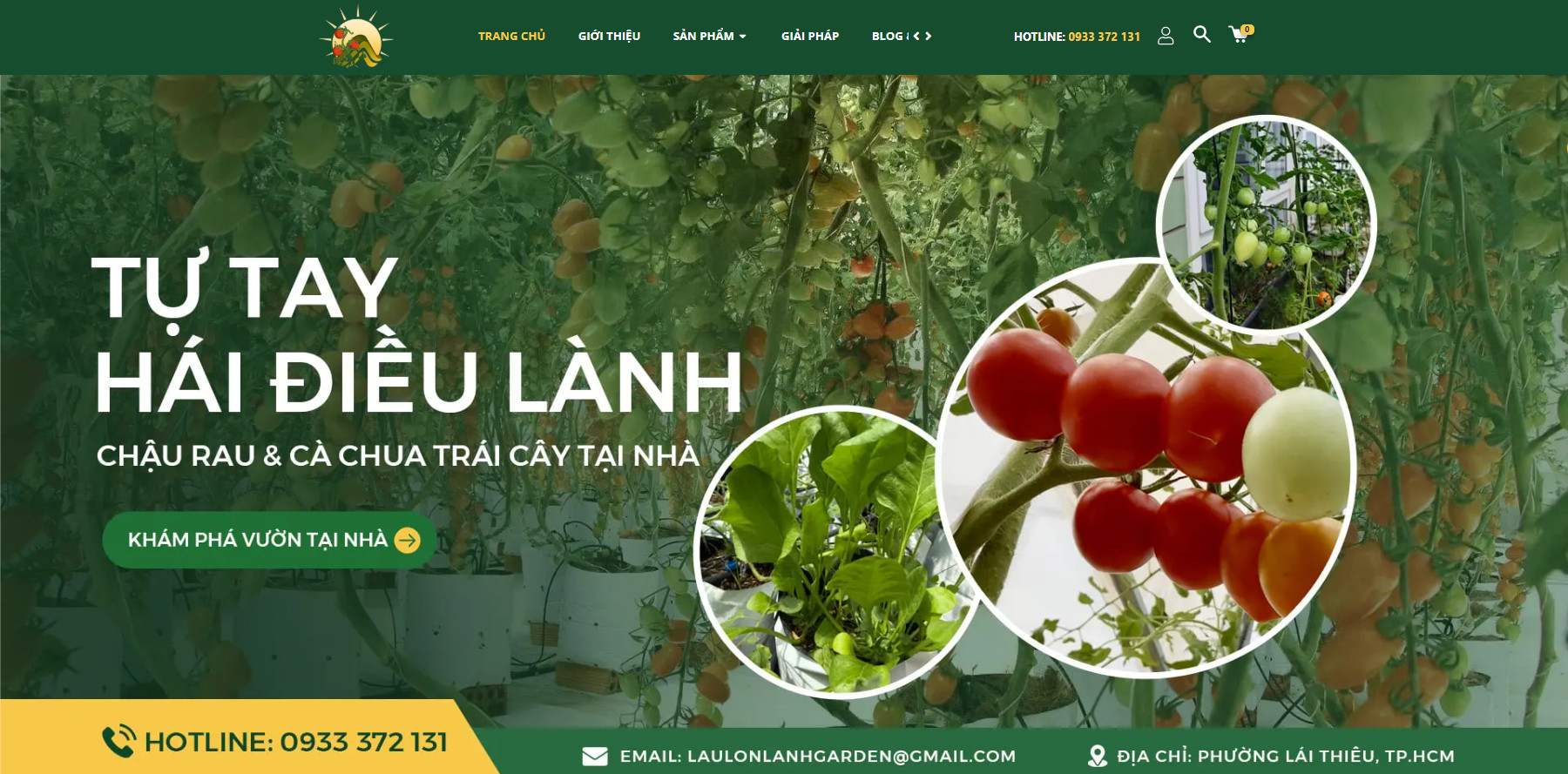 🥦NGÀY 54: TỪ VƯỜN SẠCH TỚI BÀN ĂN – TƯƠI TRỌN VỊ