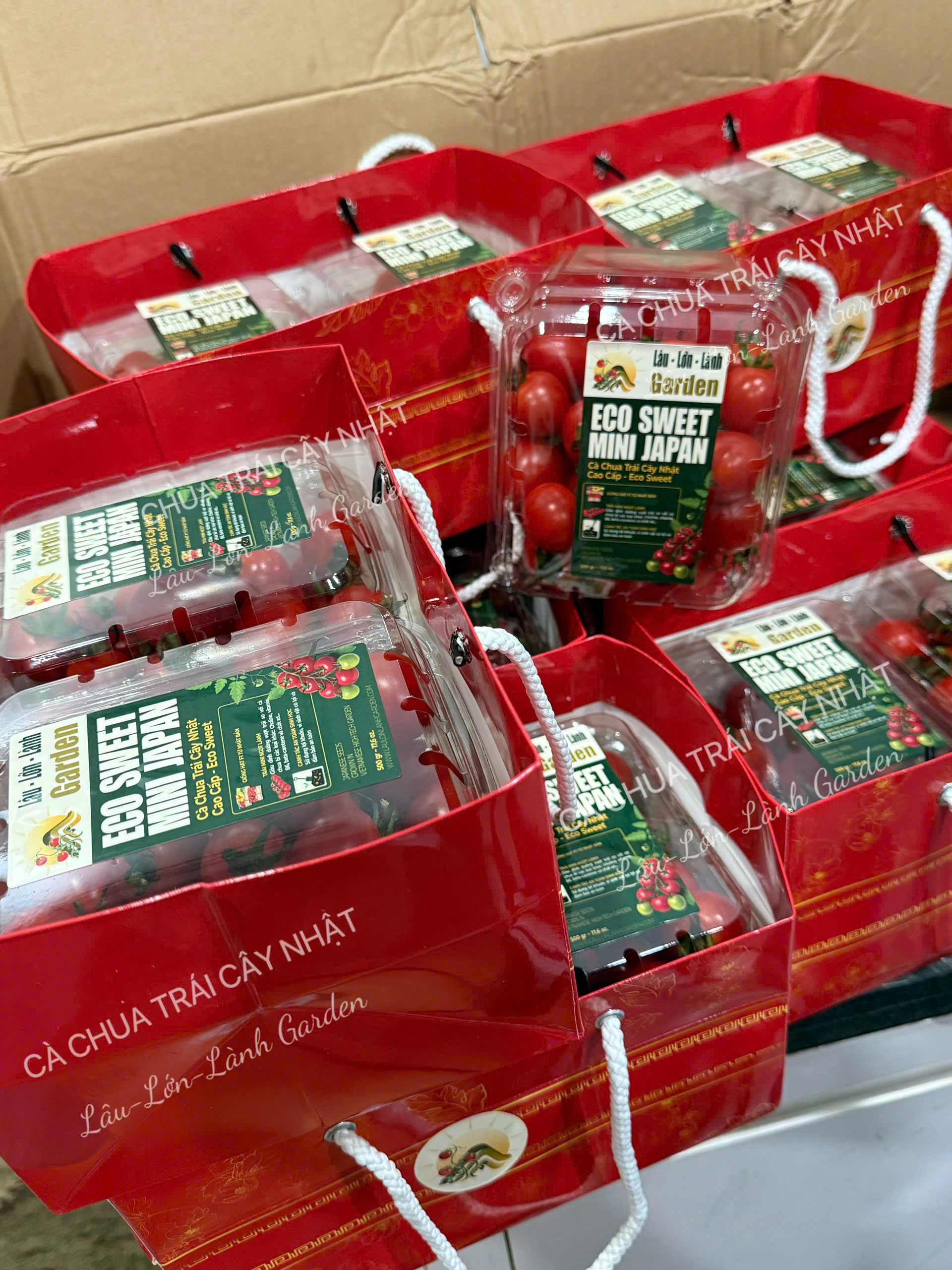 🌿 NGÀY 55: THÀNH TỰU DO NGƯỜI