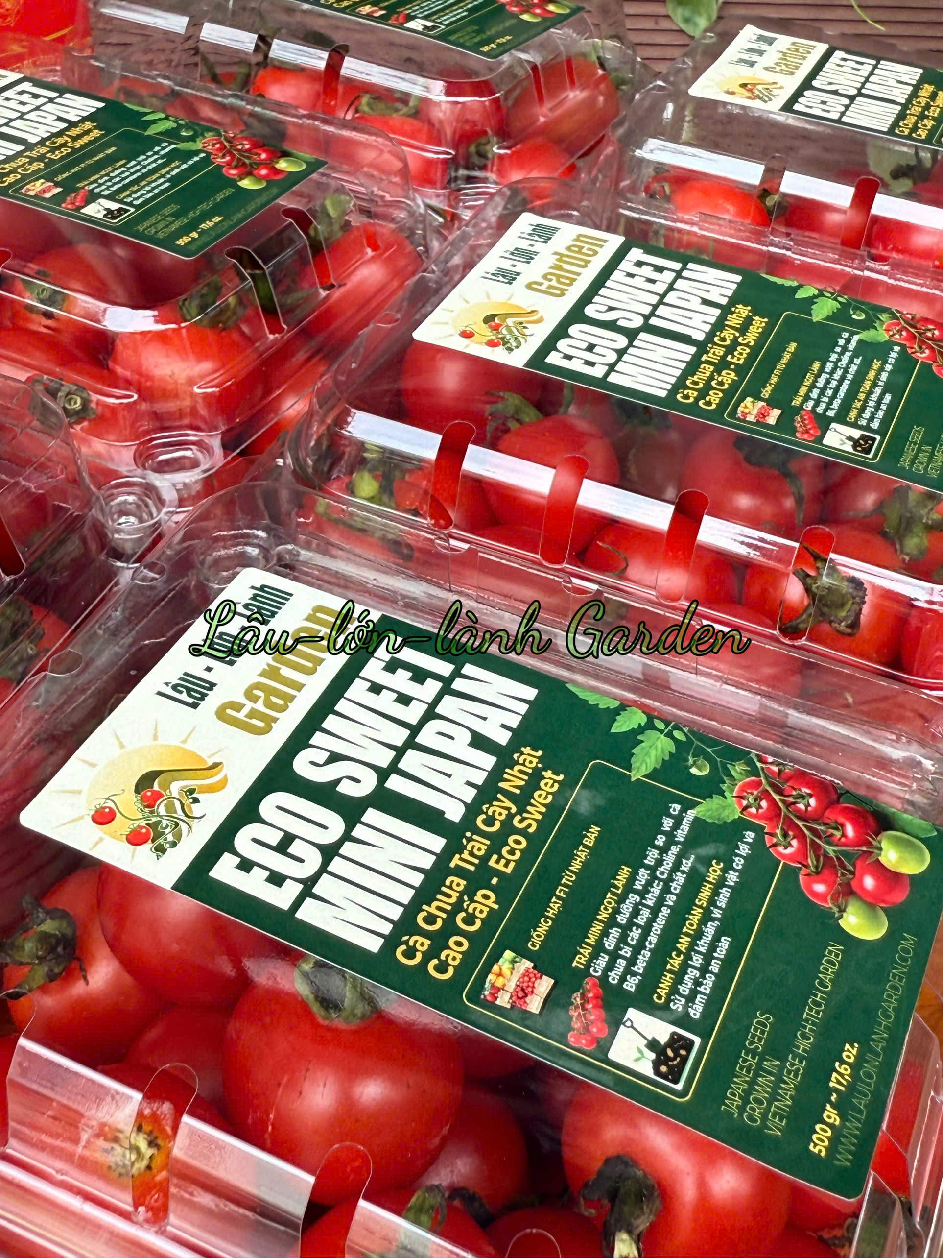 🍅 CÀ CHUA TRÁI CÂY NHẬT ECO SWEET CAO CẤP vs CÀ CHUA KHÁC