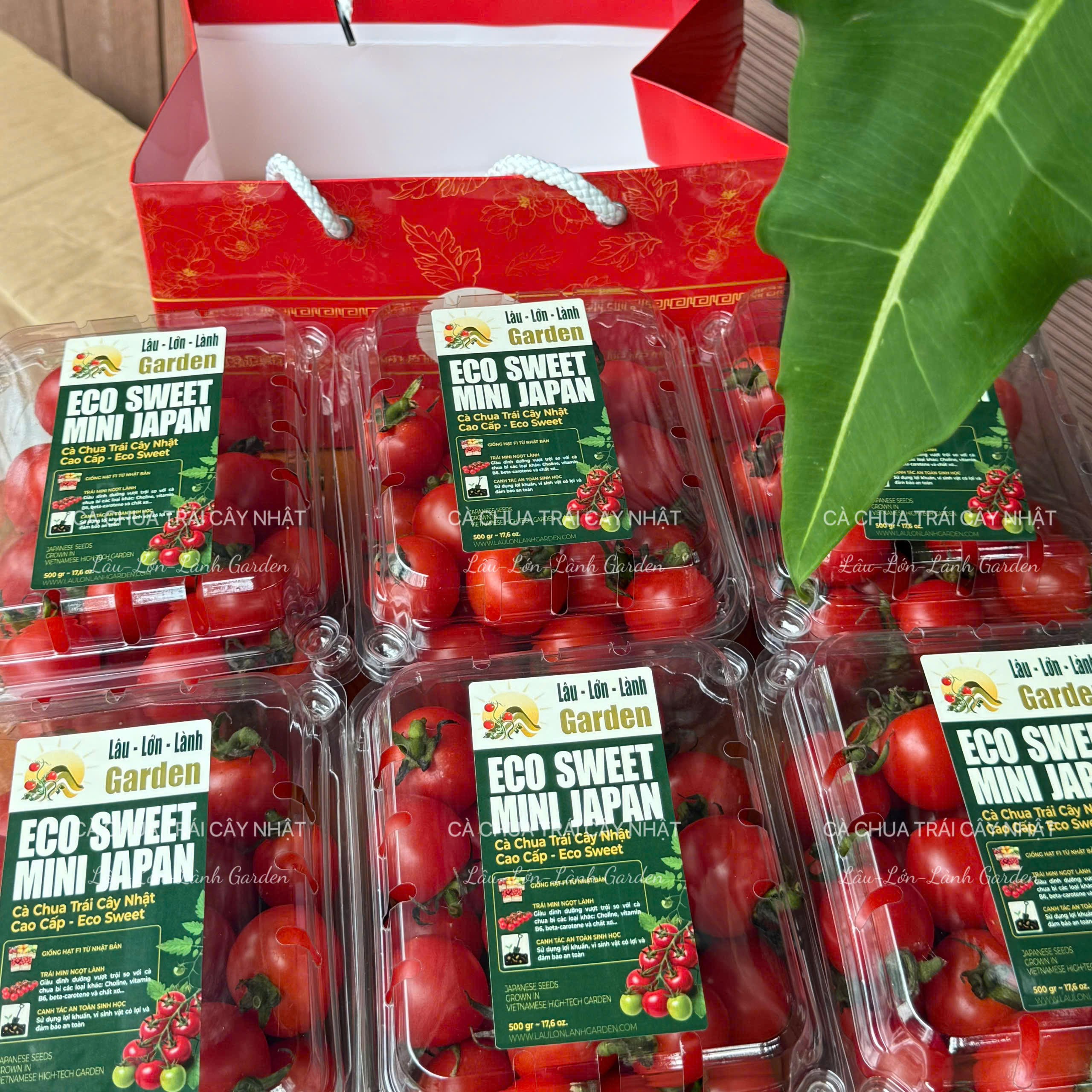 🥦NGÀY 52: TRI ÂN NGỌT LÀNH - KÍNH TẶNG THẦY CÔ 20/11