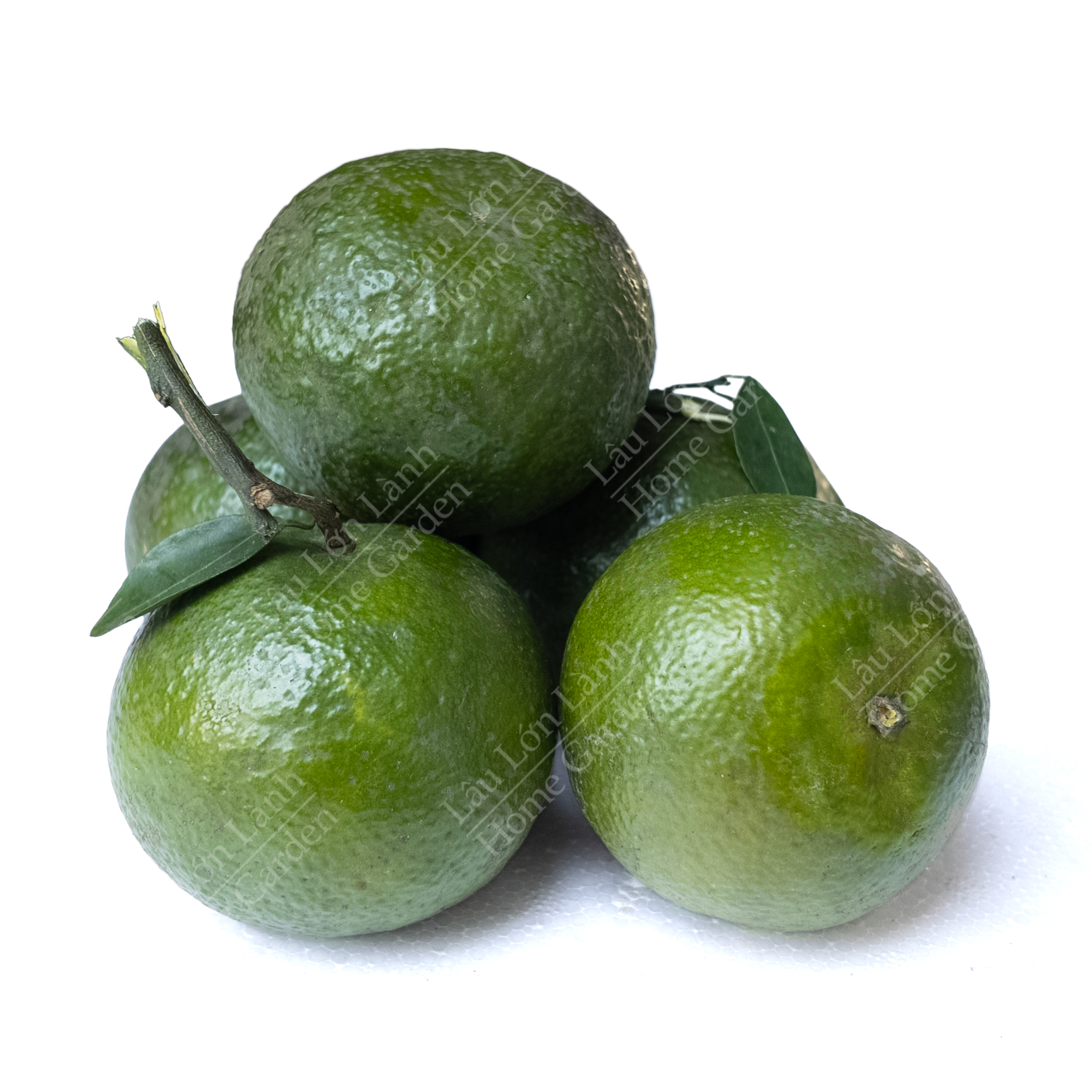 🍊 CAM SÀNH MIỀN TÂY - 1KG - CAM001