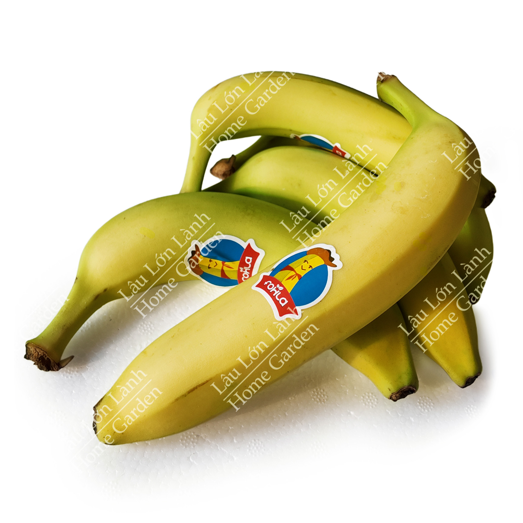 🍌 CHUỐI GIÀ NAM MỸ - 1KG - CNM001