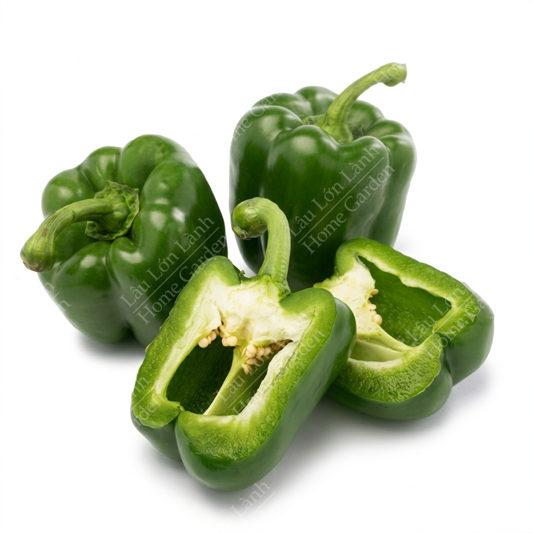 🌶️ ỚT CHUÔNG XANH - 1KG - OCX001