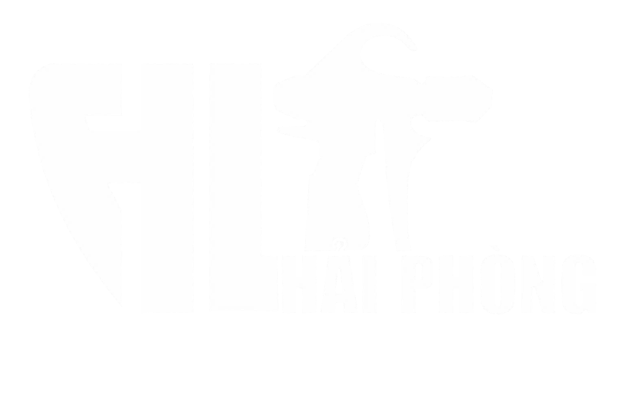logo CÔNG TY TNHH HLT HẢI PHÒNG