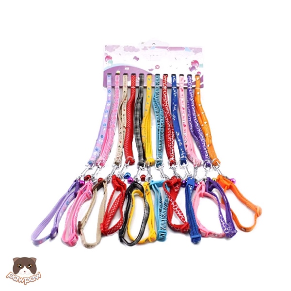 Dây dắt kèm vòng cổ zichen 1.5