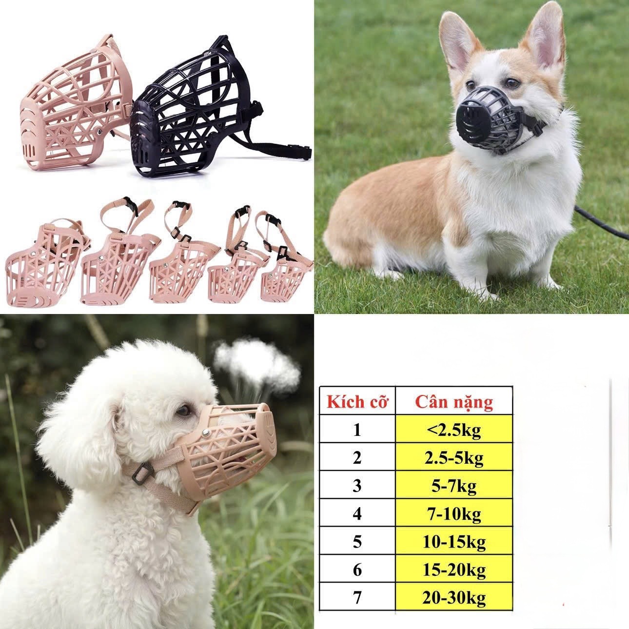 Rọ mõm cho chó