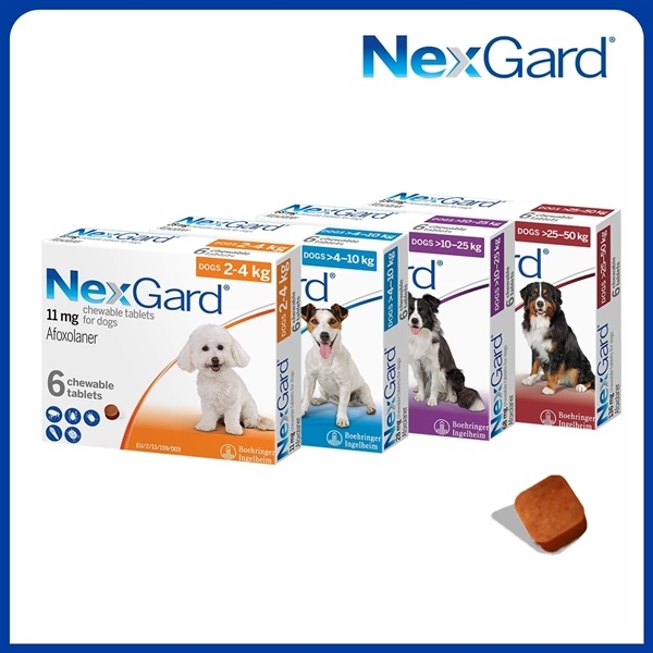 VIÊN UỐNG NEXGARD TRỊ GHẺ,VIÊM DA,VE RẬN CHO CÚN