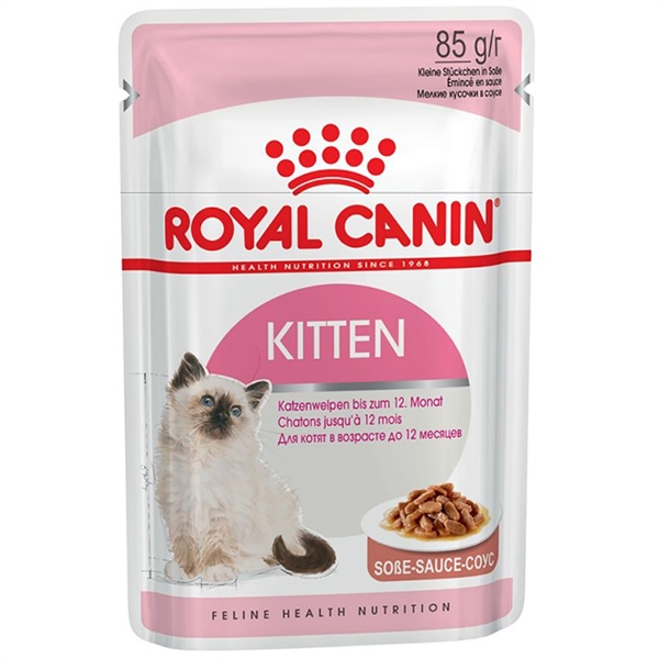 Pate Mèo Con Royal Canin