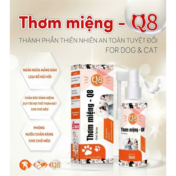 Xịt thơm miệng Q8 50ml