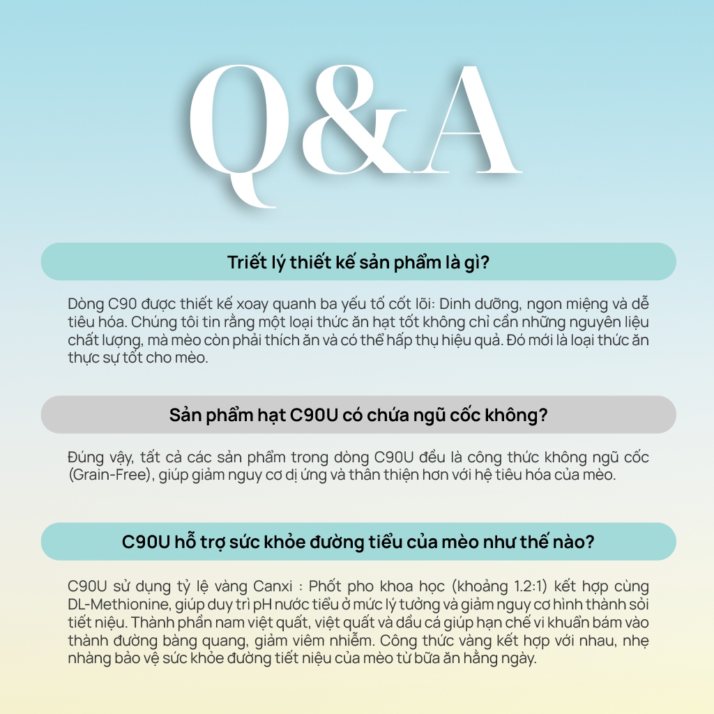 Hạt Mèo - PetQ Churro - 1Kg