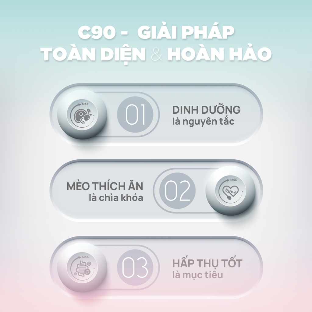 Hạt Mèo - PetQ Churro - 50Gram