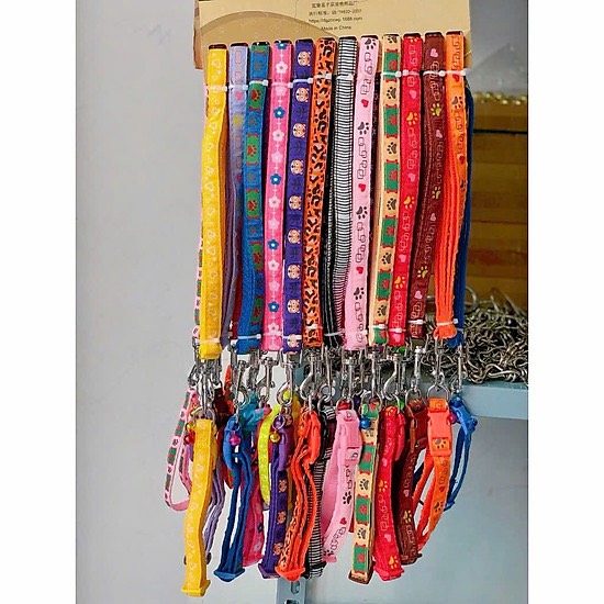 Dây dắt kèm vòng cổ Zichen 0.8