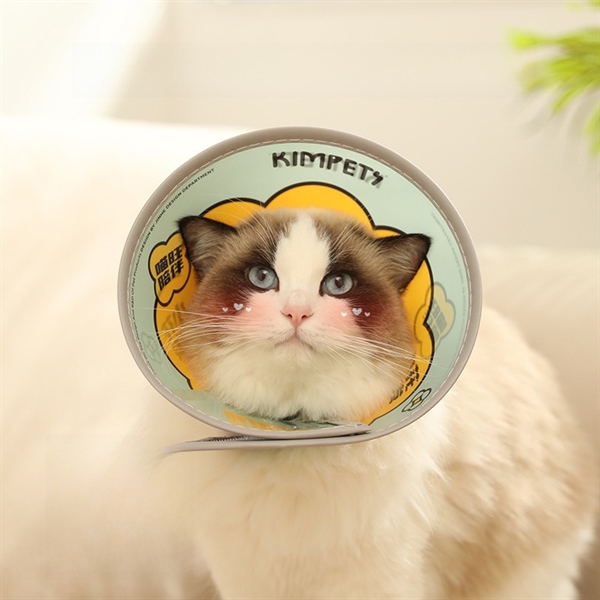 Loa Chống Liếm Mẫu 2