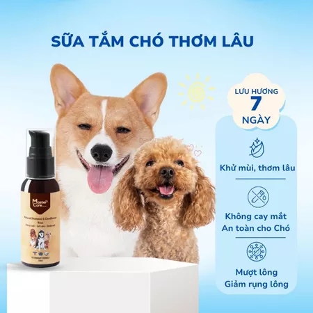 Sữa tắm MasterCare cho chó