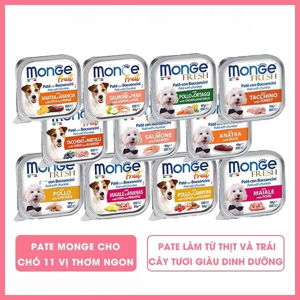 Monge Fresh Mọi Lứa Tuổi Hộp 100g - Nhiều vị