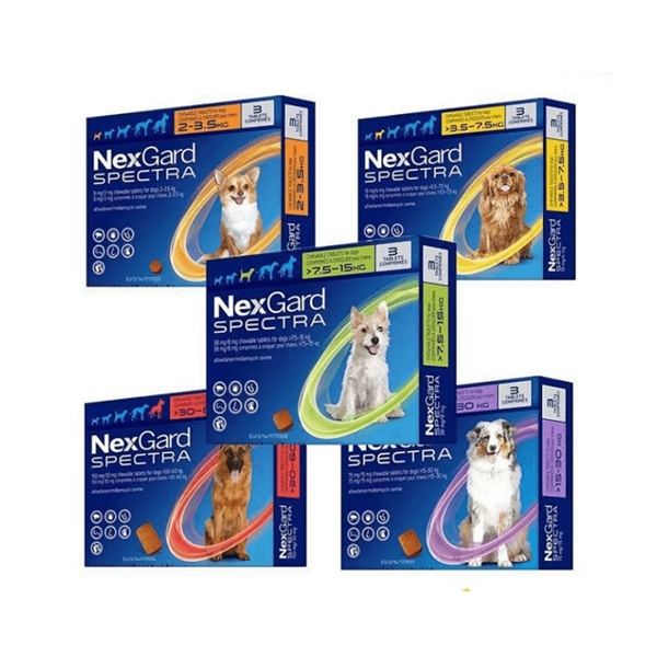 NexGard Spectra Trị Ve Rận, Xổ Giun, Ngừa Ghẻ Cho Chó (Dạng viên nhai)