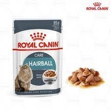 Pate Mèo Con Royal Canin
