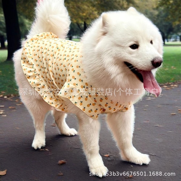 Váy Công Chúa Dòng Chó Lớn