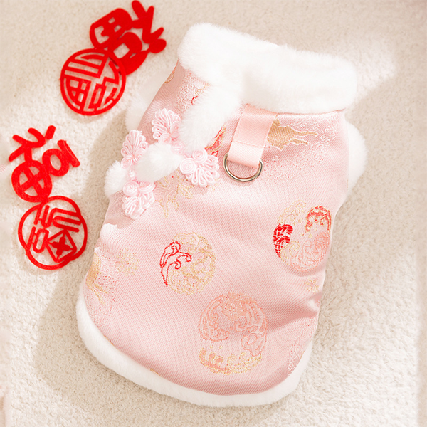 Áo Tết Cách Tân Mẫu 2