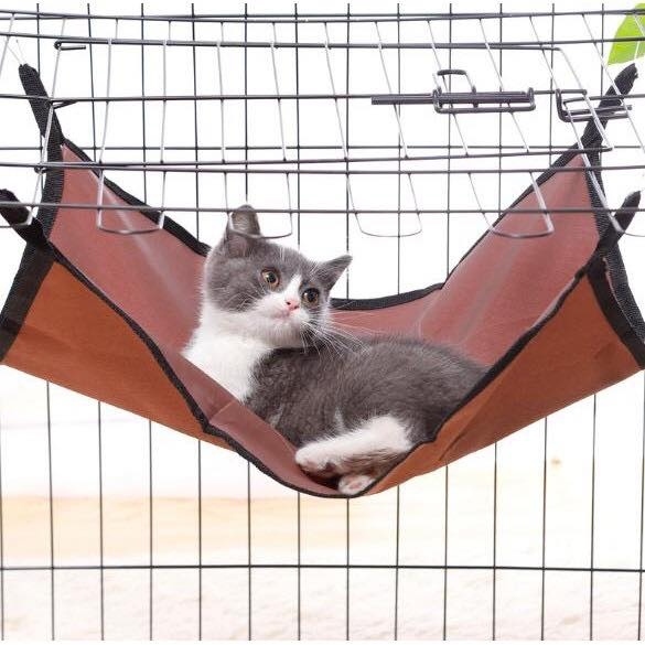 Võng treo cho mèo
