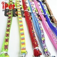 Dây vòng cổ chuông zichen 1.0