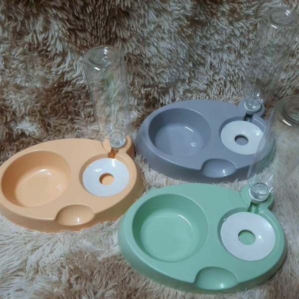 Bát ăn uống hình gấu