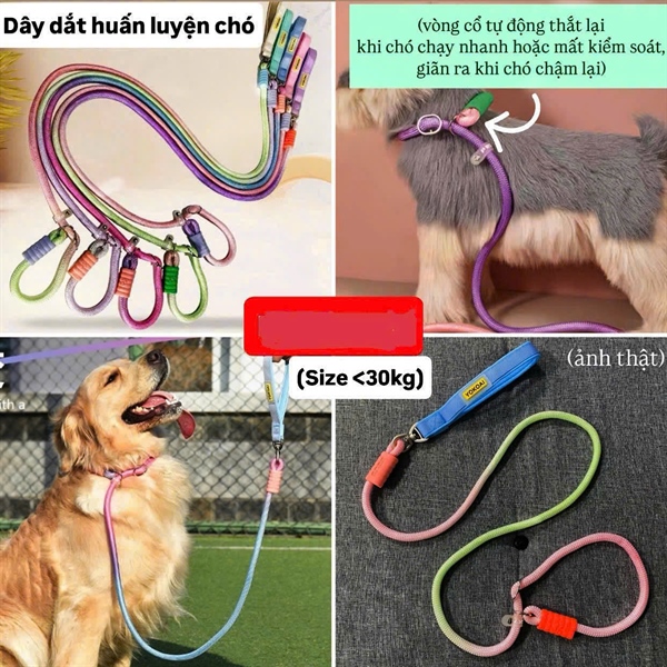 Dây huấn luyện chó