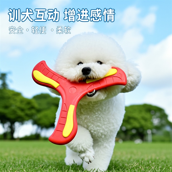 Boomerang Đồ Chơi Cho Cún