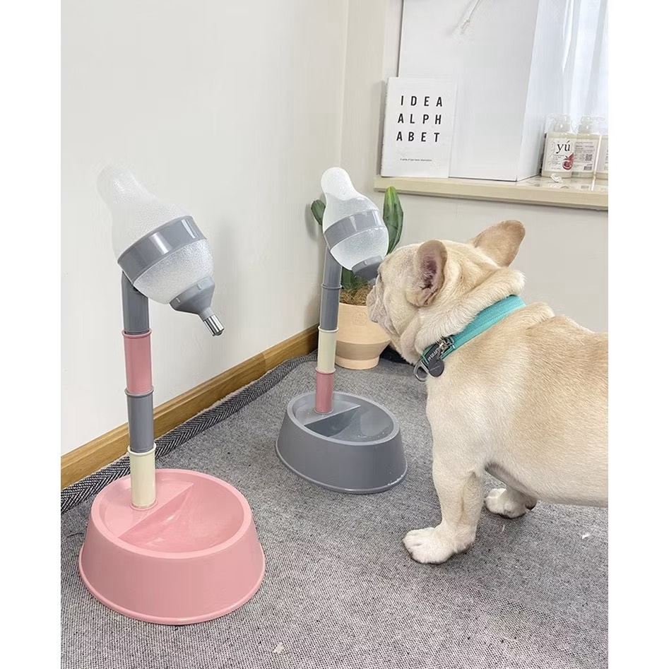 Bình nước tự động cho cún