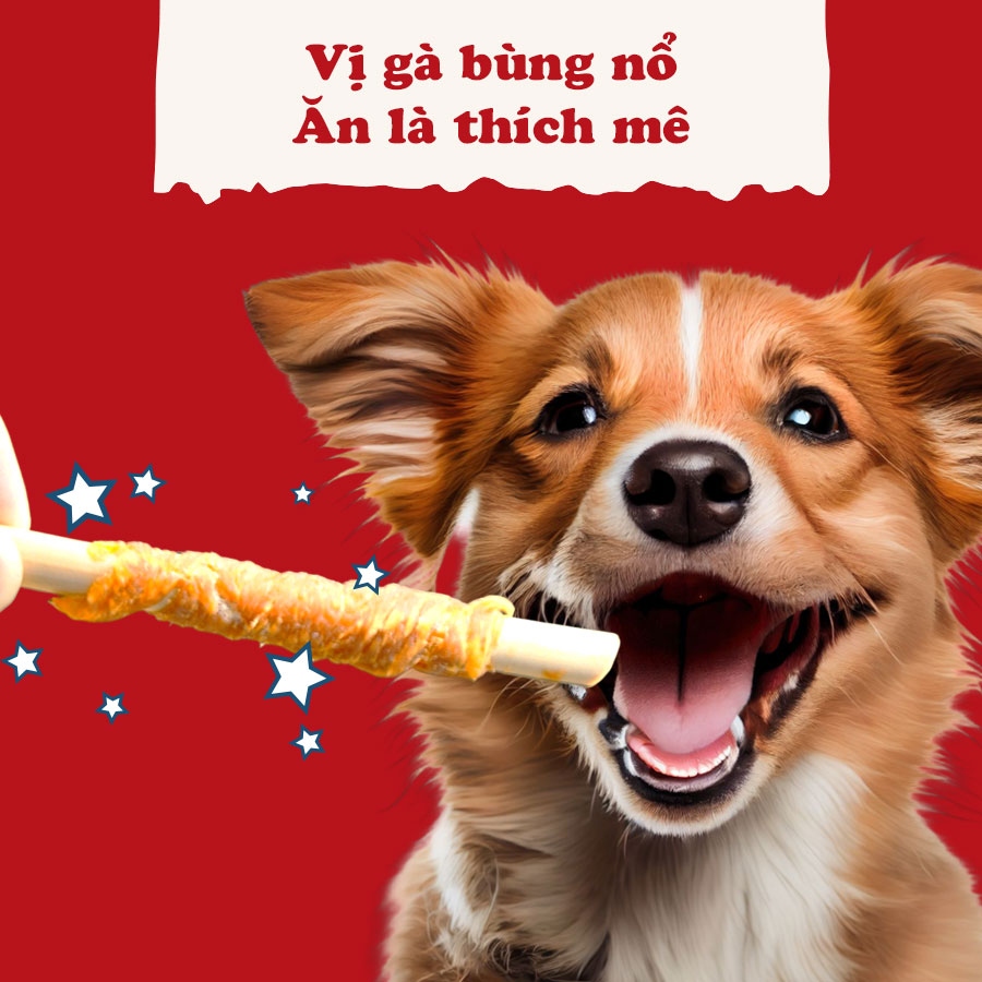 Que cuốn thịt gà 10 cây