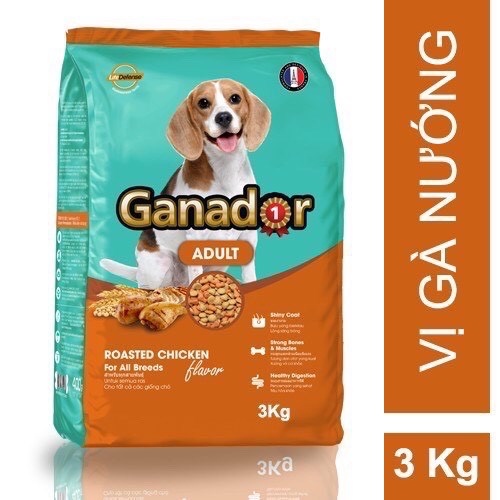 Ganador Adult Cho Chó Trưởng Thành Vị Gà Quay 3Kg