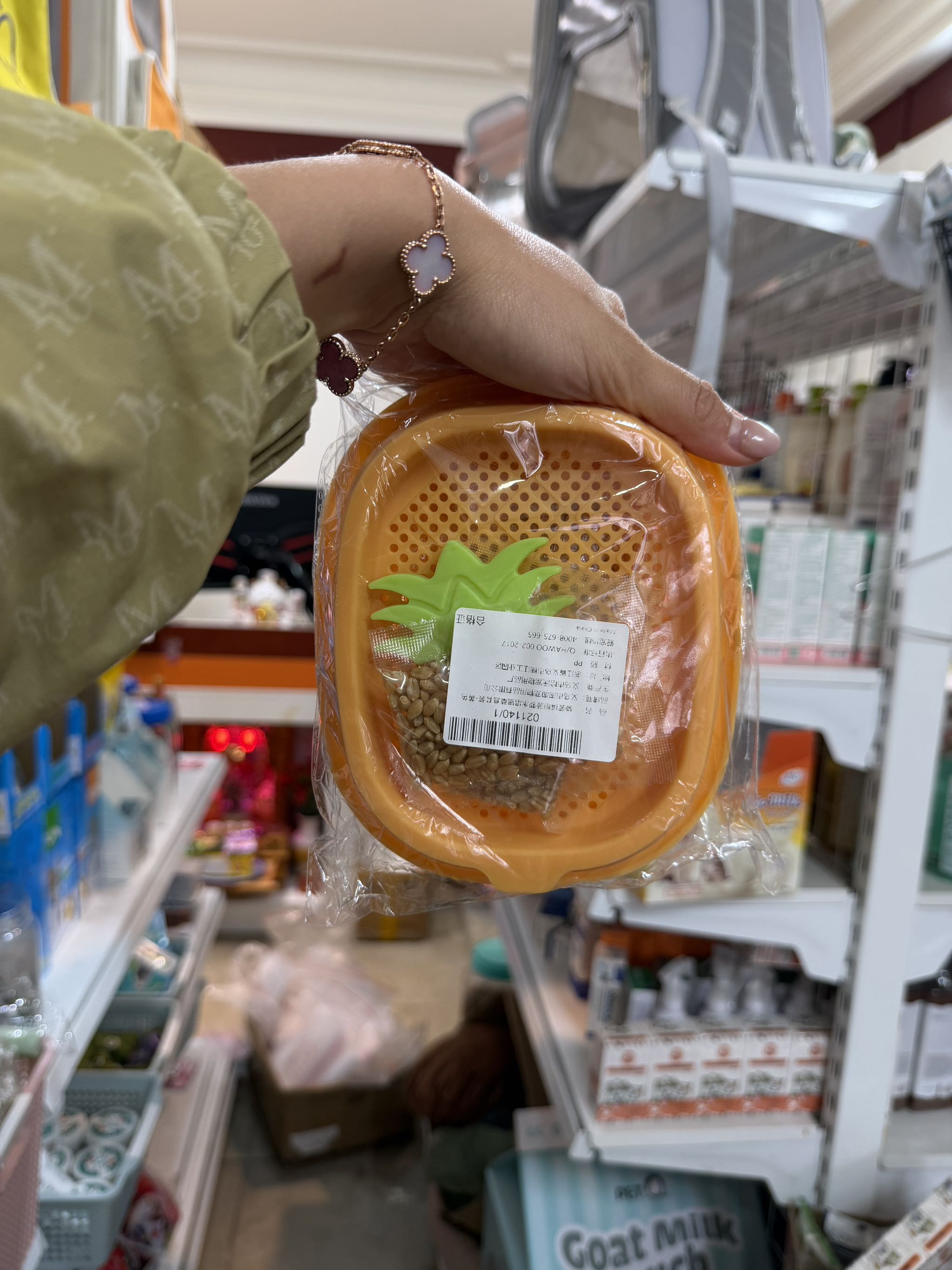 Khay trồng cỏ mèo - loại Tốt