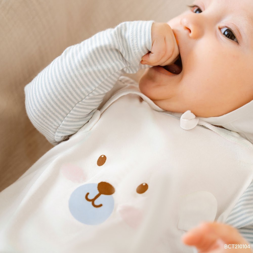 BU Baby (1-12M) Body chip dài tay cài vai Mùa Thu êm BU Cotton BCT210104 | Body chính hãng