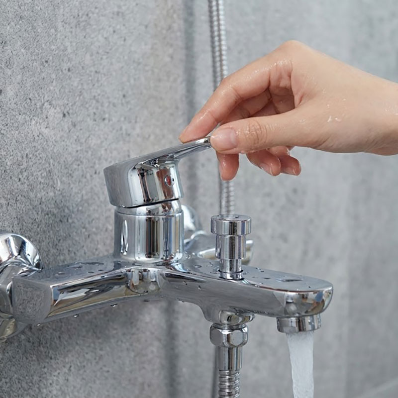 Nên Lựa Chọn Củ Sen Tắm Nóng Lạnh nào?