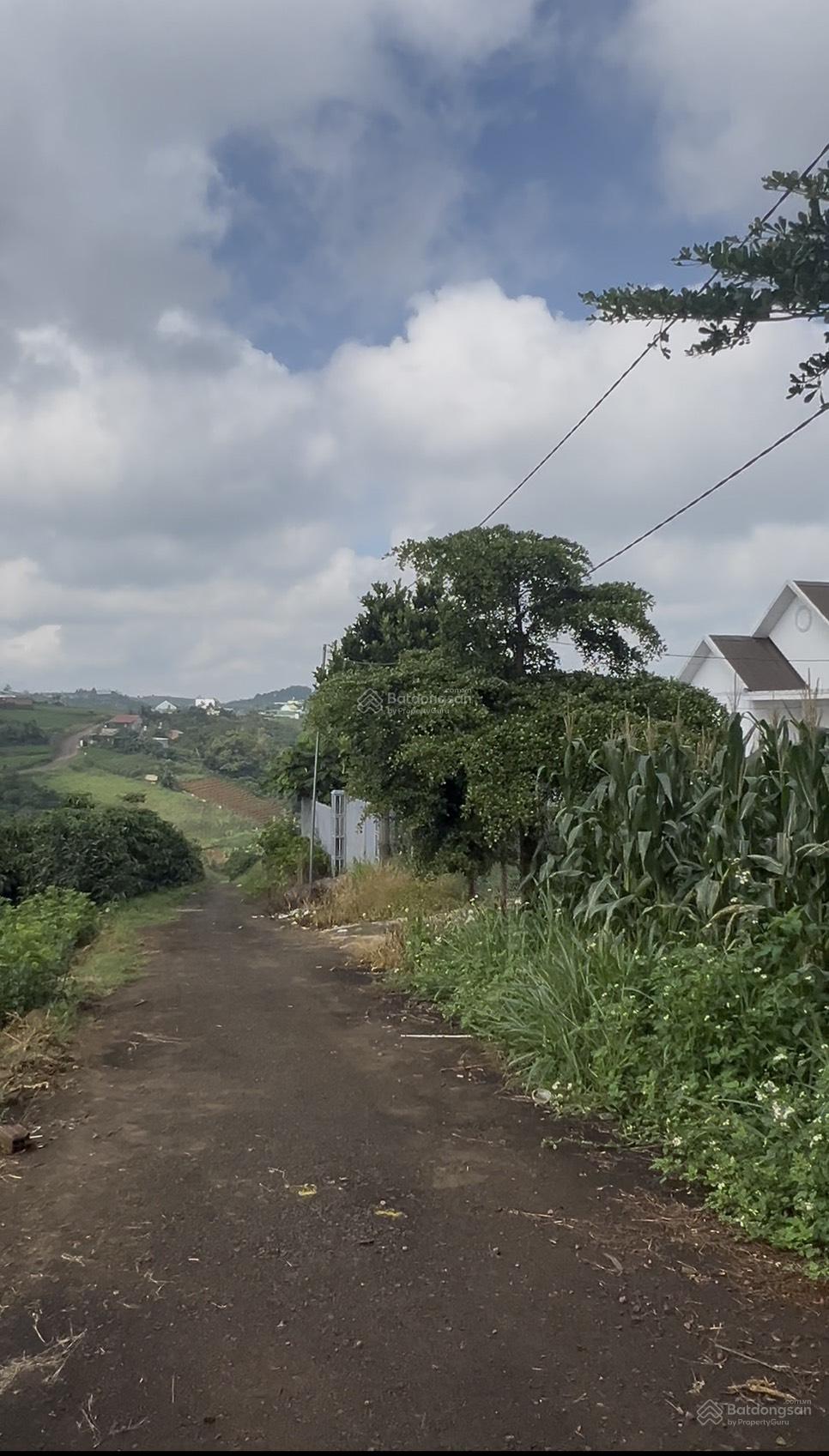 Mua bán đất Bảo Lộc đường Tản Đà