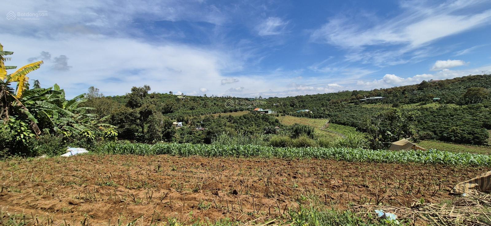 Mua bán đất Bảo Lộc đường Lý Thái Tổ