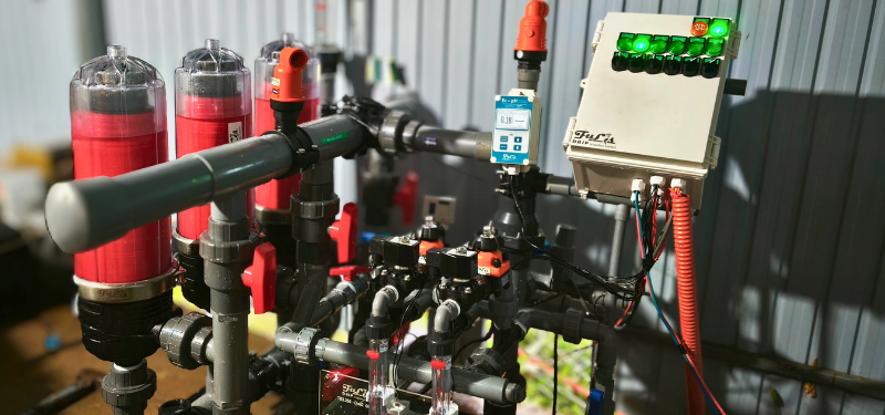 THẾ MẠNH KHÁC BIỆT CỦA FULIS