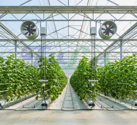 Giải Pháp Nông Nghiệp Công Nghệ Cao