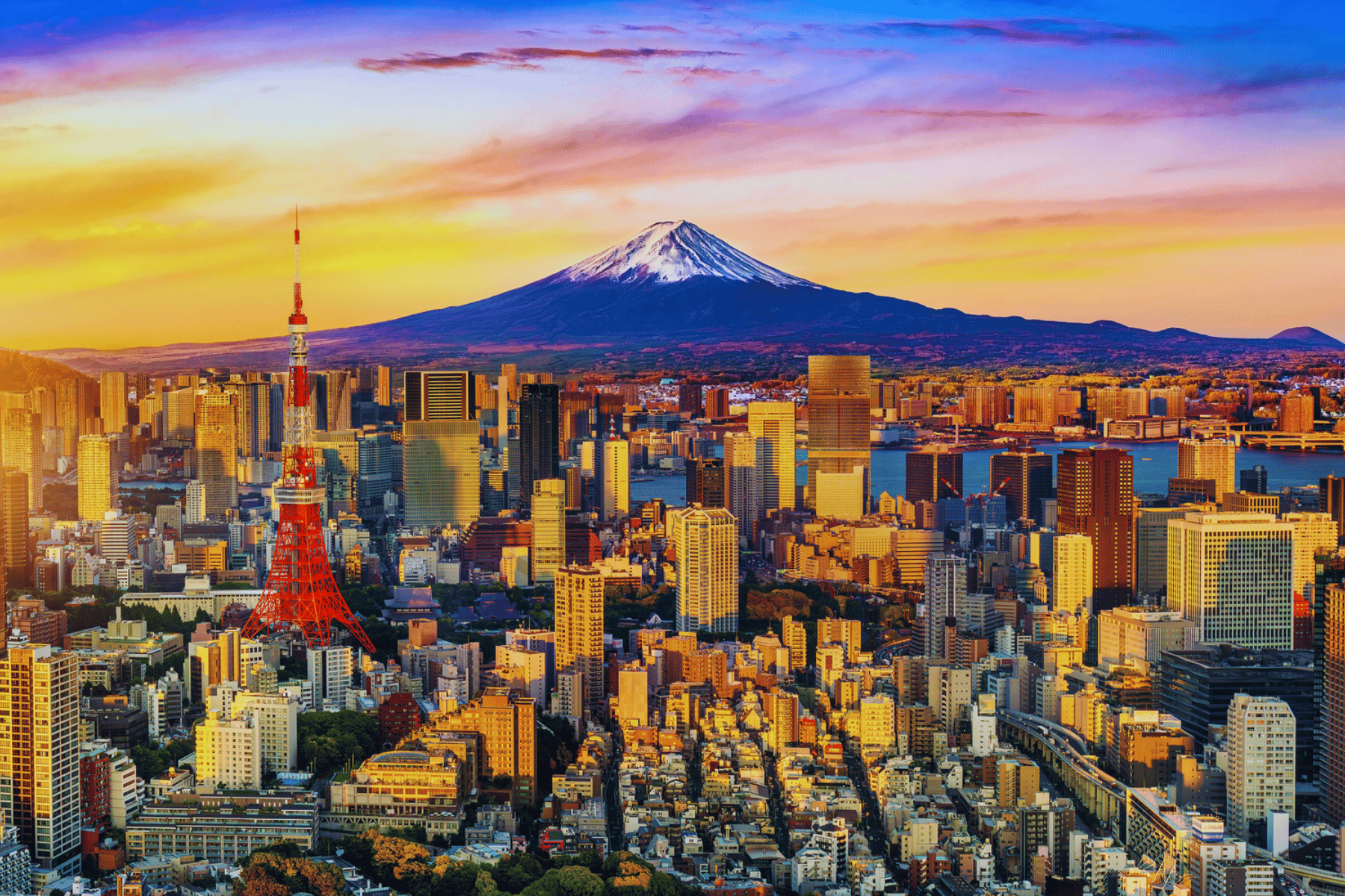 Khám phá thủ đô Tokyo