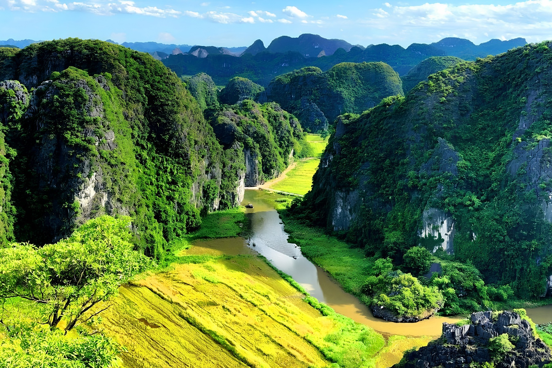 Kinh nghiệm đi Tam Cốc mùa lúa chín: Đi đúng lúc để ngắm hết vẻ đẹp Ninh Bình