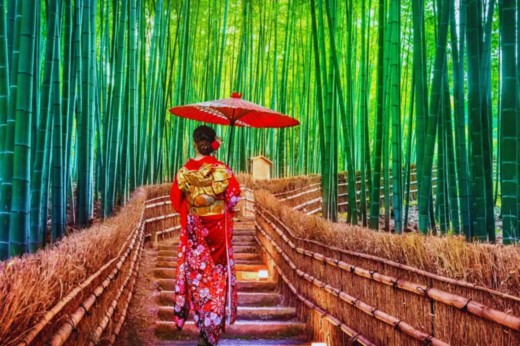 Phải trải nghiệm những điều này, nếu bạn có ý định đến Kobe – Yamanashi