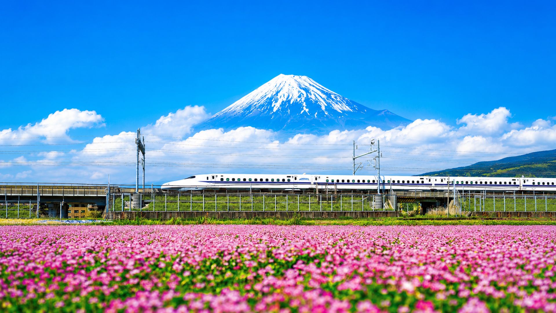 Shinkansen Nhật Bản - vì sao nên trải nghiệm một lần?