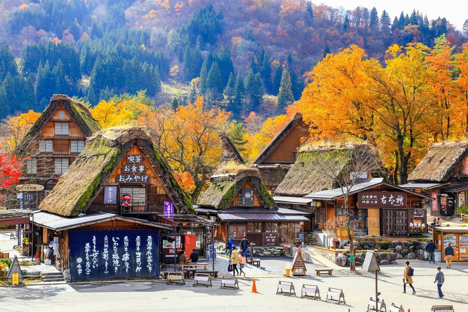 Shirakawago mùa thu: Cẩm nang khám phá làng cổ mùa lá đỏ