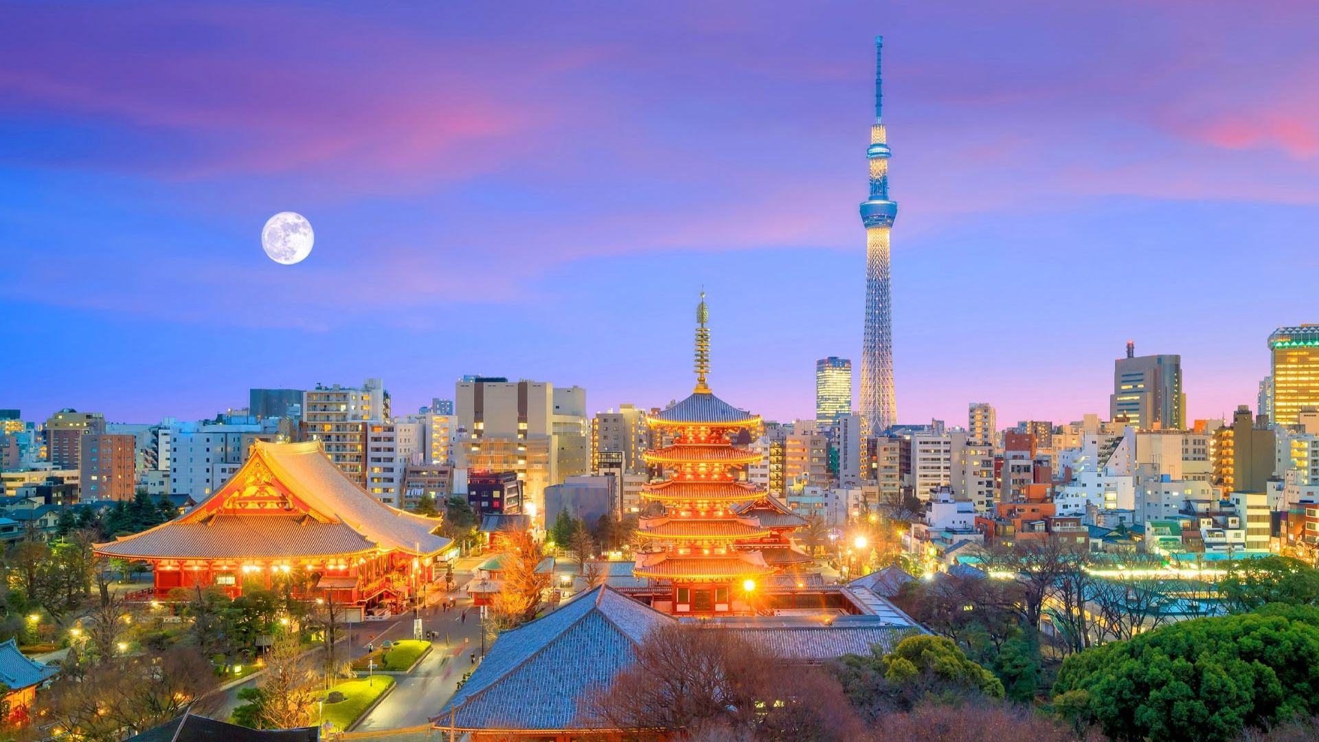 Tokyo mùa thu - một ngày giữa nét cổ kính và nhịp sống hiện đại