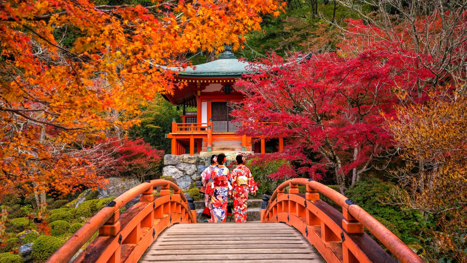 Mùa thu Nhật Bản: Trọn vẹn sắc thu Tokyo - Yamanashi - Shirakawago - Gifu