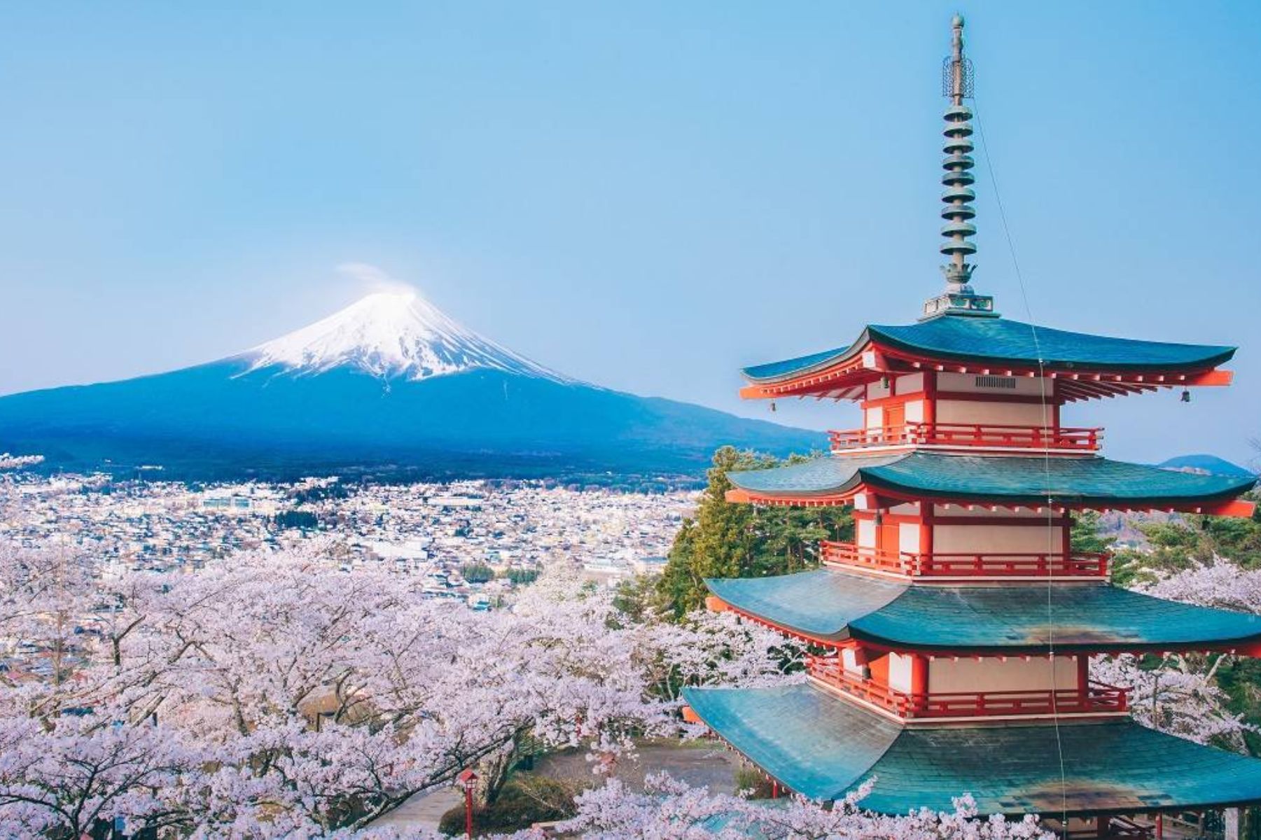 Cẩm nang du lịch cung đường vàng Nhật Bản: Tokyo - Fuji - Nagoya - Osaka