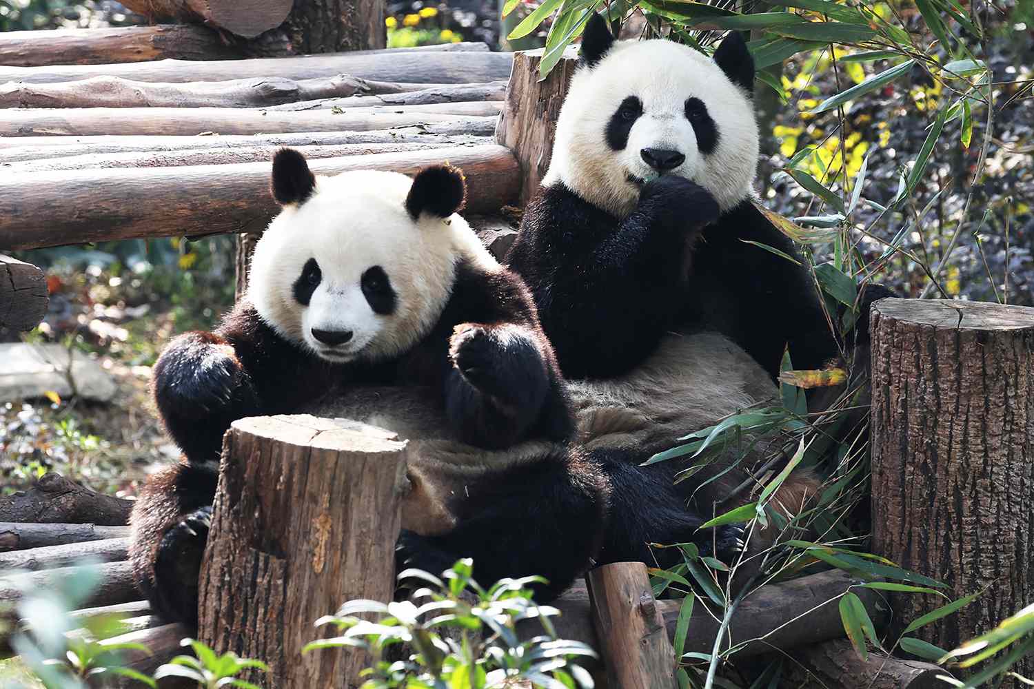 Vì sao Thành Đô được gọi là 